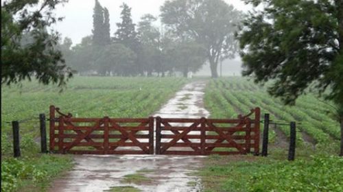 Por las precipitaciones, afirman que retrocedió “de forma significativa” la sequía