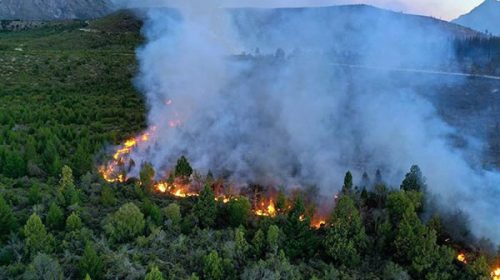 Cuatro provincias registran focos activos de incendios forestales