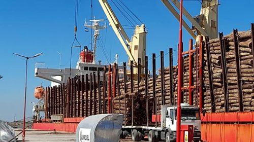 Se concretó la primera exportación del año desde los puertos entrerrianos