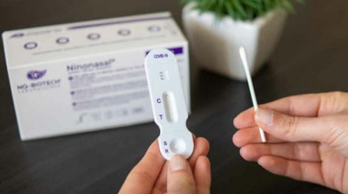 Llegan a Argentina los autotests de coronavirus: pros y contras de los famosos antígenos