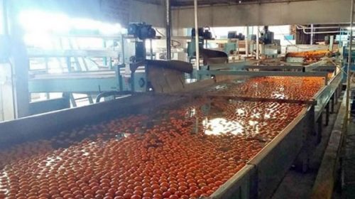 “Tuvimos una muy buena temporada y vendimos prácticamente toda la producción”, afirmaron desde JuCoFer