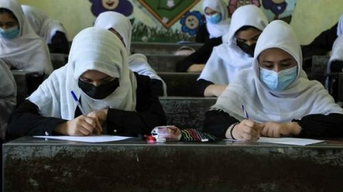 Talibanes obligan a que hombres y mujeres cursen en forma separada en universidades
