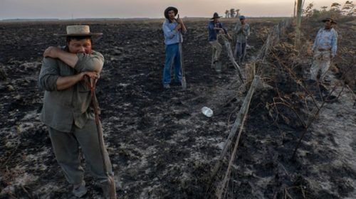 Corrientes decretó la exención impositiva para los productores afectados