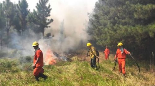 Siguen sin control los incendios forestales en Corrientes