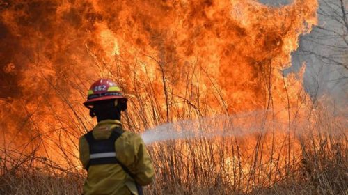 Incendios en Corrientes: calculan que el fuego ya afectó a casi el 6% del territorio provincial