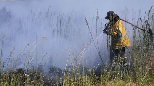Corrientes, Río Negro y Misiones registran incendios forestales activos