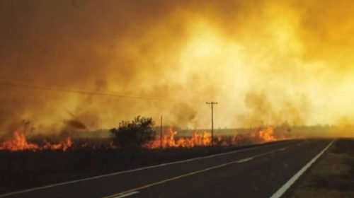 Corrientes declaró el estado de Emergencia Agropecuaria