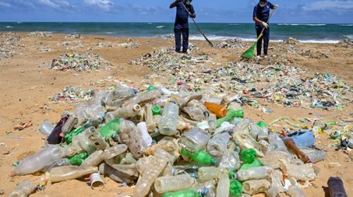 Los residuos plásticos ya contaminaron “todos los rincones de los océanos”