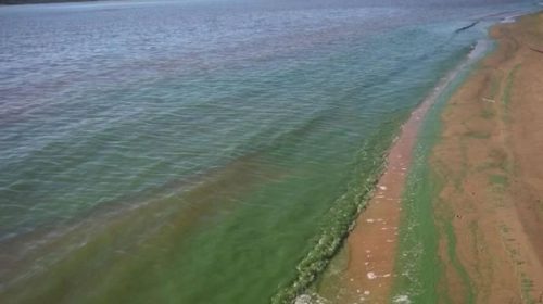 Llegó al Congreso el reclamo para que CARU publique los datos sobre la calidad del agua en playas del río Uruguay