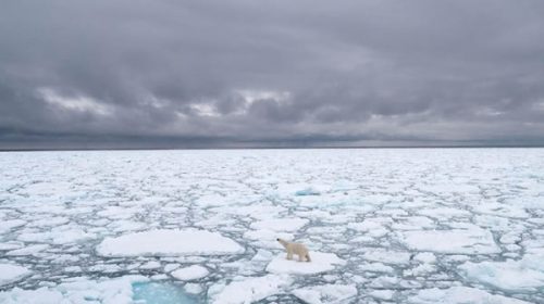 El Ártico perdió 770.000 kilómetros cuadrados de hielo, según la NASA