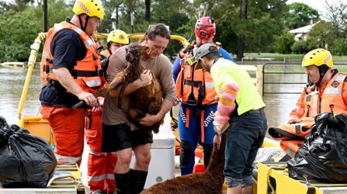 Ordenan la evacuación de 200.000 personas en Australia por fuerte tormenta e inundaciones