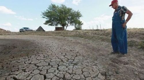 Declaran emergencia y desastre agropecuario en Chaco a causa de la sequía