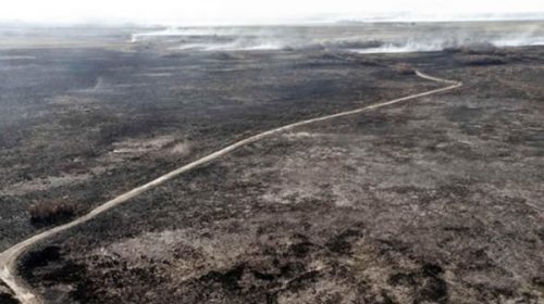 Los incendios en Corrientes quemaron el 12% del territorio provincial