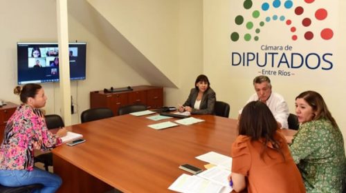 Buscan establecer la capacitación obligatoria en discapacidad para trabajadores del Estado