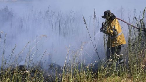 Continúan activos dos focos de incendios en Corrientes y Río Negro