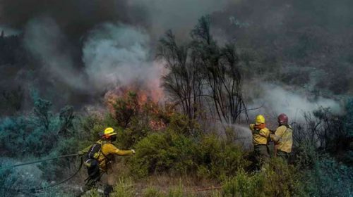 Permanece activo el foco de incendio forestal en Bariloche