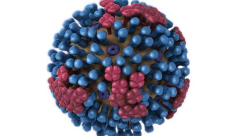 Confirmaron 38 casos de influenza A  en Entre Ríos