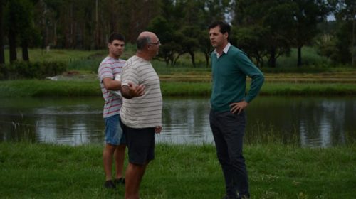 Acompañan a una empresa dedicada a la piscicultura para que sea más competitiva