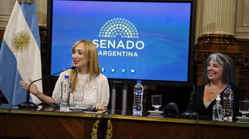 El Senado conformó otras cuatro comisiones