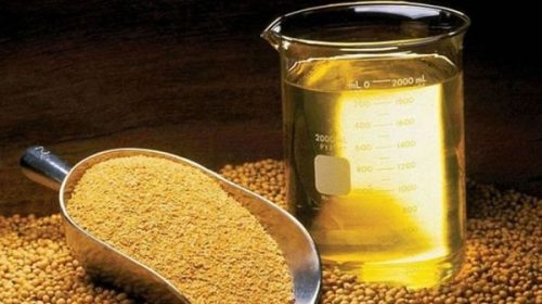 El Gobierno reabrió las exportaciones de harina y aceite de soja