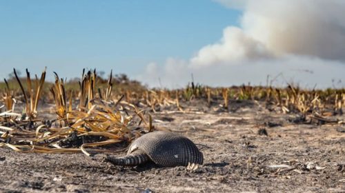 Aunque lo peor ya habría pasado, la sequía que causó La Niña va a continuar hasta mayo