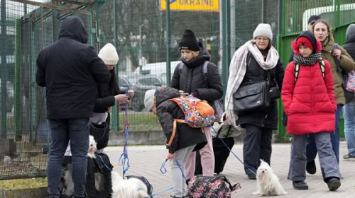 Argentina otorgará visa humanitaria a los ciudadanos ucranianos