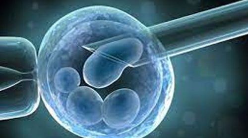 El Gobierno envió al Congreso el proyecto de Ley de nanobiotecnología