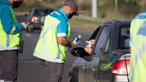 Establecen el nuevo sistema de licencia de conducir por puntos: cómo funciona
