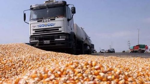 Continúan en paro los transportistas de granos en reclamo de un aumento en las tarifas de carga