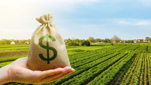 La suba de los precios internacionales del agro mejoró la renta de los productores