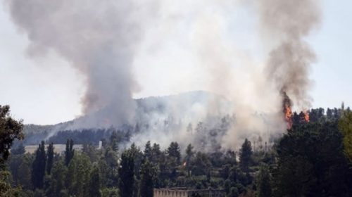 Combaten varios incendios forestales en España en medio de una intensa ola de calor