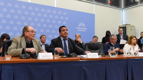 Diputados: amplio aval del sector a la ley de inversiones para las automotrices