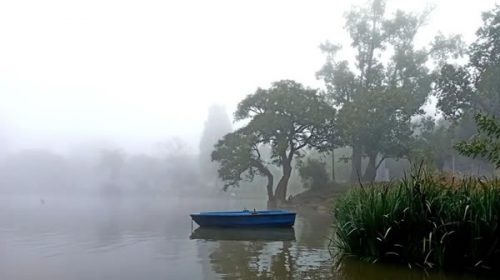 Un sistema frontal que pondrá fin a la niebla llegará esta tarde a Entre Ríos
