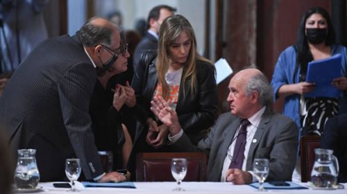 El Senado debate cómo facilitar la convocatoria a consultas populares