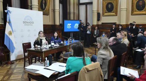 Senado: obtuvo dictamen proyecto oficial para nueva moratoria previsional