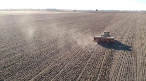 En Entre Ríos la siembra de trigo ya alcanzó el 50% de la superficie prevista