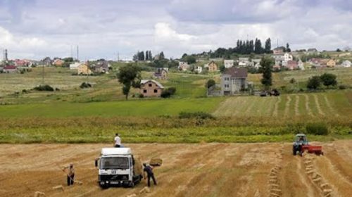 ¿Crisis alimentaria mundial en puerta?: la ONU lanza una advertencia sobre la invasión rusa a Ucrania