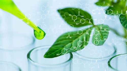 Biotecnología: proyectan inversiones por u$s1500 millones y la generación de miles de empleos