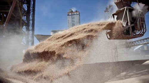 La salida de granos de Ucrania para abastecer al mundo “es cuestión de vida o muerte”