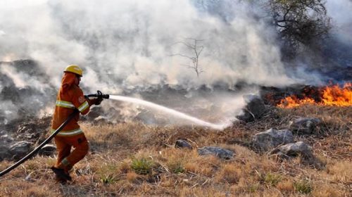 Logran contener en un 80% el incendio forestal en la zona del Valle de Calamuchita