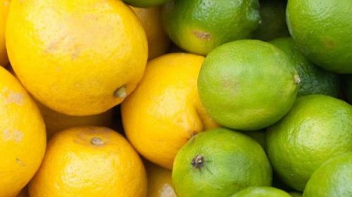 La Aduana fijó nuevos valores de referencia para las exportaciones de limones y limas
