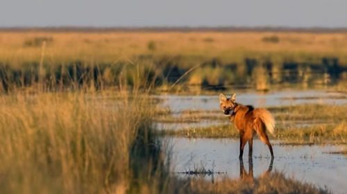 Hay un nuevo Parque Nacional en Argentina