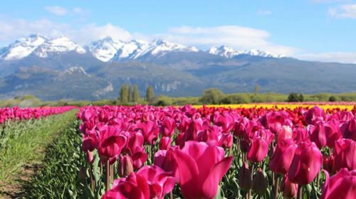 Cuáles son los 3 pueblos argentinos que compiten para ser distinguidos como el mejor del mundo