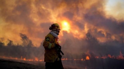 Incendios en el Delta del Paraná: hay focos importantes en Rosario-Victoria, San Pedro y Zárate