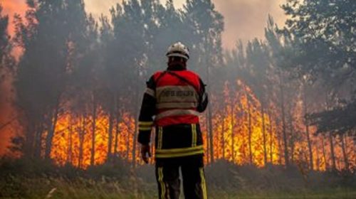 Francia vuelve a enfrentar varios incendios forestales y preocupa la sequía en el sector agrícola