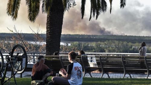 El intendente de Rosario pidió que “pongan presos” a los responsables de las quemas