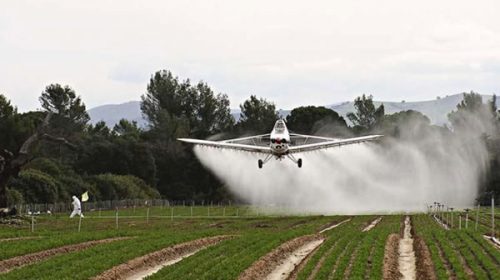 La justicia frenó el uso de agrotóxicos sobre una comunidad originaria en Santiago del Estero