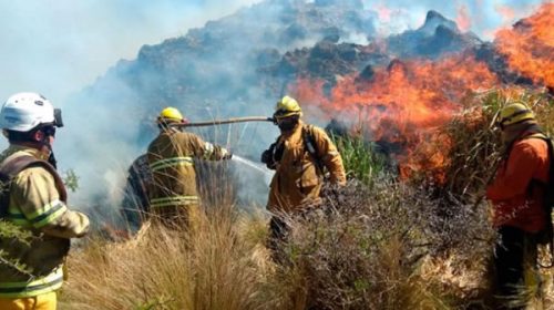 El fuego no de tregua en Córdoba y ofrecen recompensa para dar con el responsable
