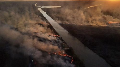 El fuego no cede: hay tres focos de incendio en Entre Ríos