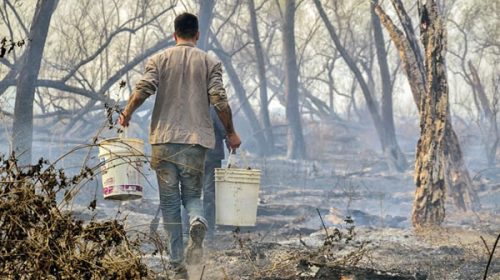 Piden autorización para aplicar cortafuegos preventivos en el Delta del Paraná
